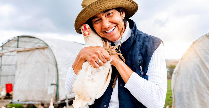 Día del Avicultor Peruano crianza de aves domésticas Perú