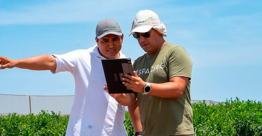 Con drones, satélites e inteligencia artificial: las innovaciones peruanas que están transformando la agricultura 