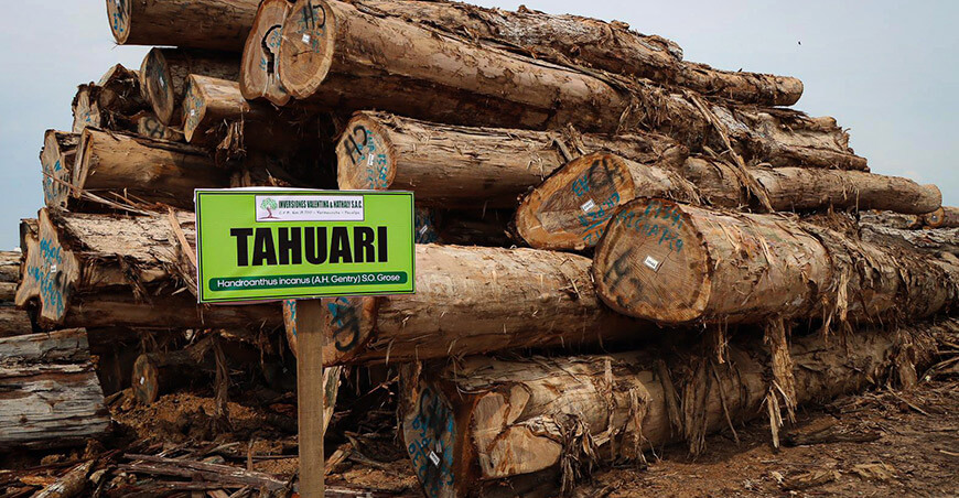 Valentina & Nathaly, empresa forestal ucayalina que conquista mercados internacionales exportaciones maderables del Perú Osinfor 