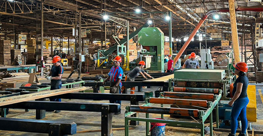 Valentina & Nathaly, empresa forestal ucayalina que conquista mercados internacionales exportaciones maderables del Perú Osinfor