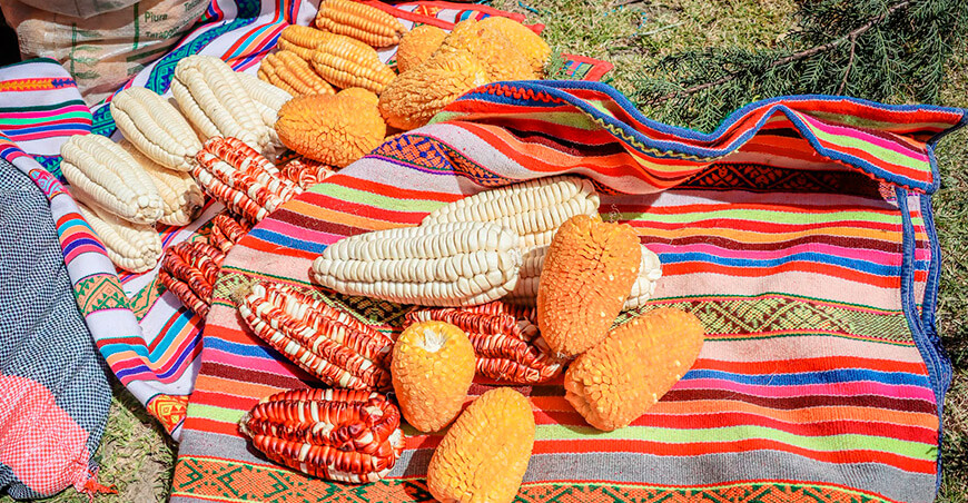Feria Microcuenca Anilmayo y Feria Comunal Quemporay Quiquijana Cusco Perú