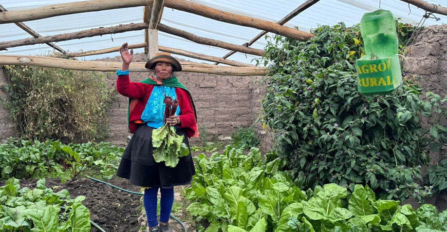 fitotoldos producción hortalizas Perú Agro Rural