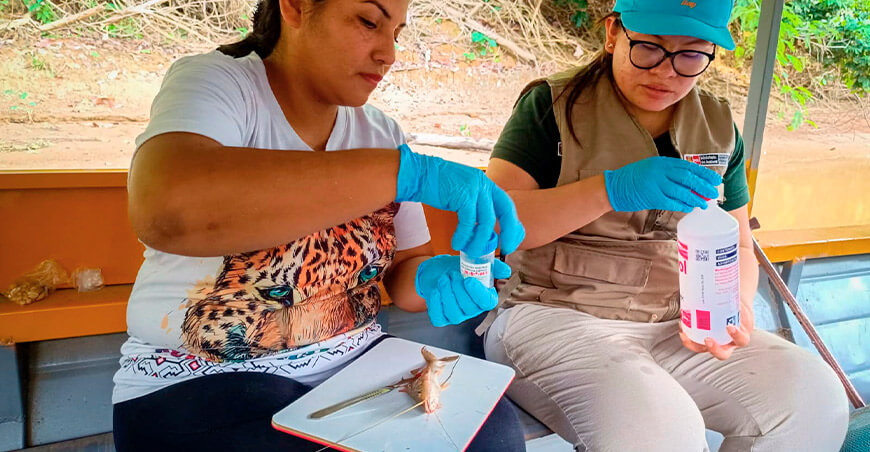 IIAP y Fenamad ponen en marcha monitoreo indígena del mercurio en Madre de Dios