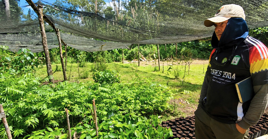 IIAP entrega plantas mejoradas de camu camu y aguaje a comunidades de Loreto y Ucayali