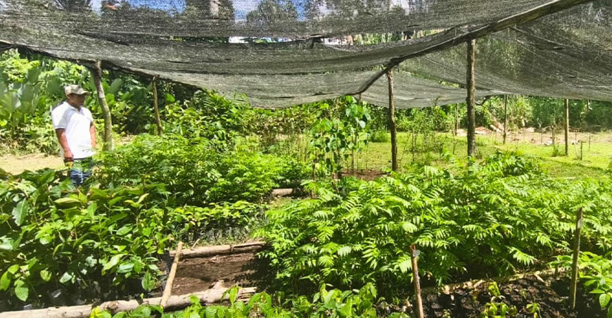 IIAP entrega plantas mejoradas de camu camu y aguaje a comunidades de Loreto y Ucayali