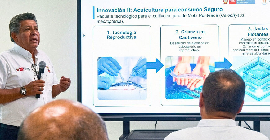 IIAP recupera suelos arrasados por la minería ilegal y genera ingresos 