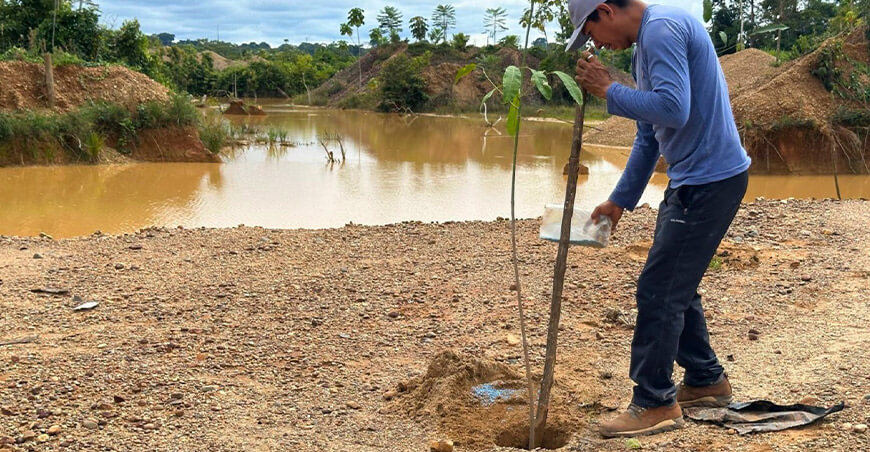 IIAP recupera suelos arrasados por la minería ilegal y genera ingresos Perú