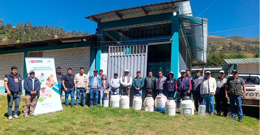 INIA transfiere pajillas de semen de vacuno para mejorar la calidad ganadera de Apurímac Perú