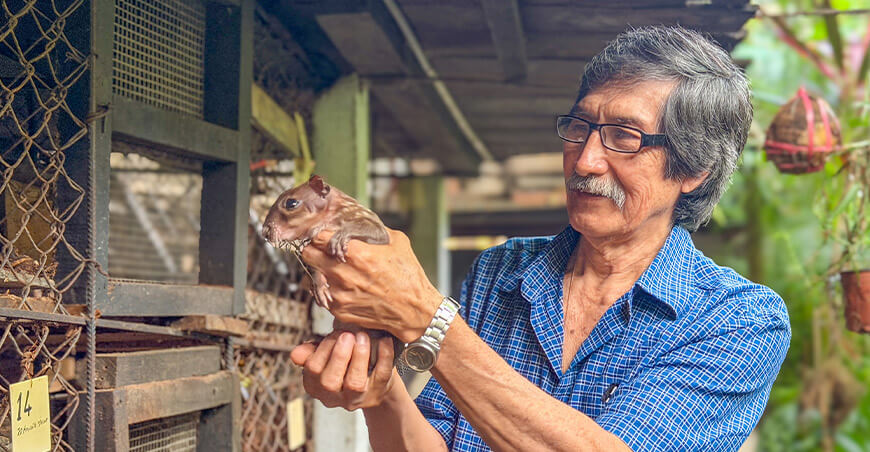 Samani, un refugio para el majaz que busca devolver el equilibrio al bosque en Chanchamayo, región Junín Perú Osinfor
