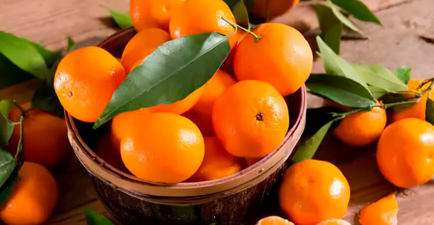 producción mandarinas Perú