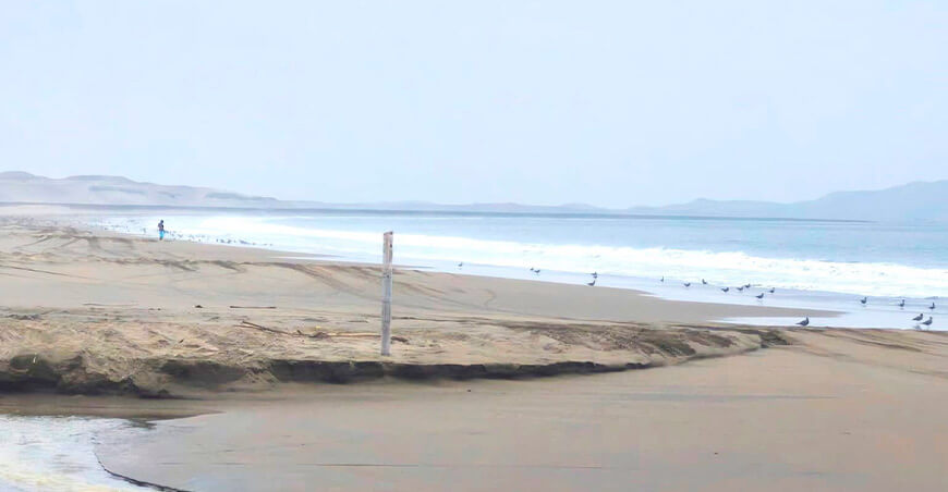 la recuperación de los servicios ecosistémicos marino-costeros en las provincias de Barranca, Huaura y Huaral Lima Perú