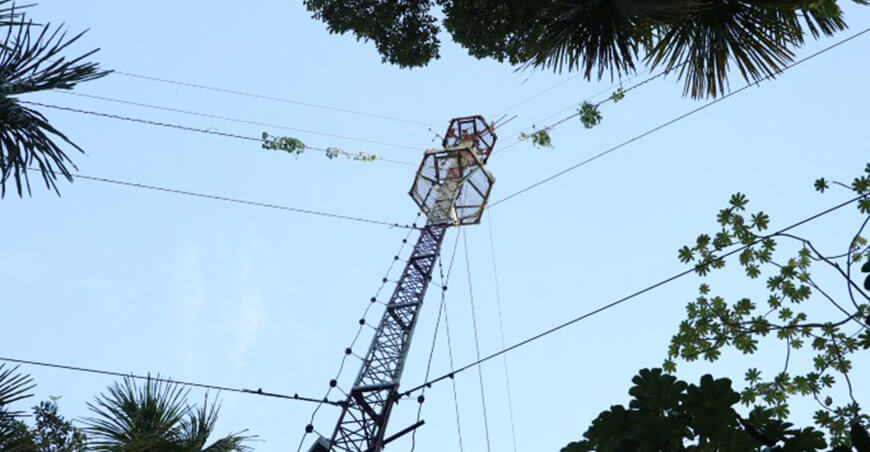 IIAP incorpora inteligencia artificial que transforma datos del bosque en información para proteger la Amazonía