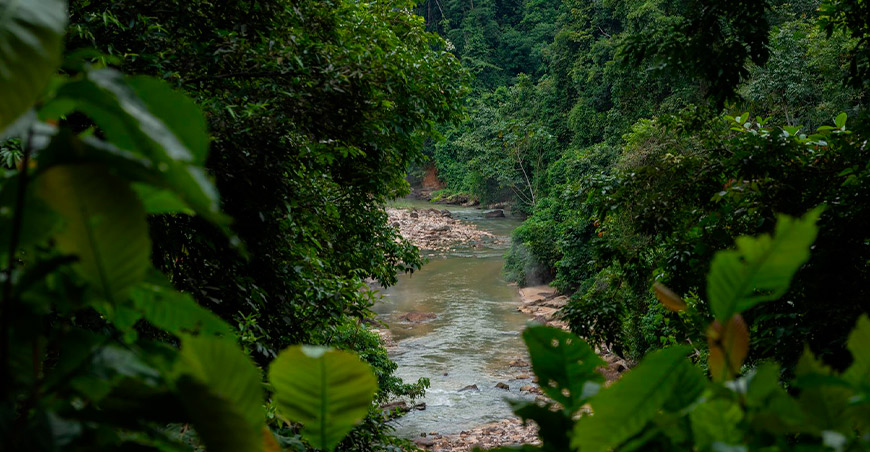 Loreto celebra la creación de su sexta Área de Conservación Regional (ACR), denominada Aguas Calientes Maquia