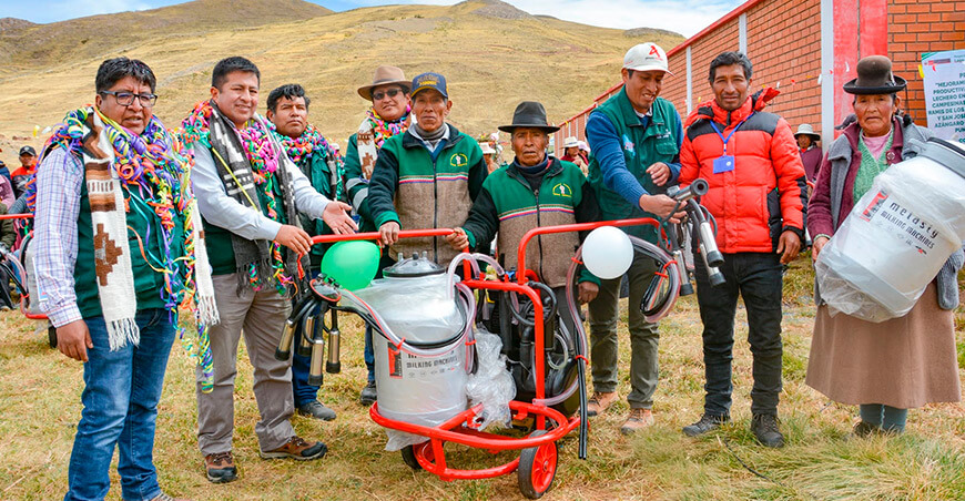 Equipan a comunidades ganaderas para mejorar la cadena productiva láctea en Azángaro Puno Perú PEBLT 