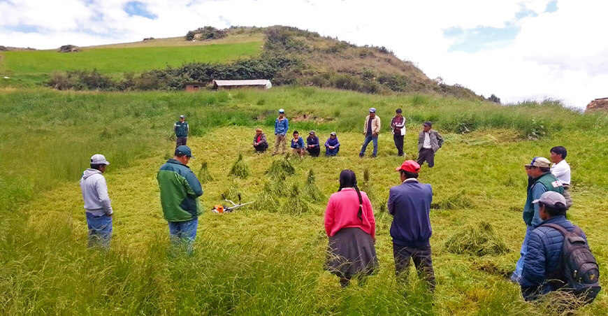 Agro Rural conservación de forrajes ganaderos Perú