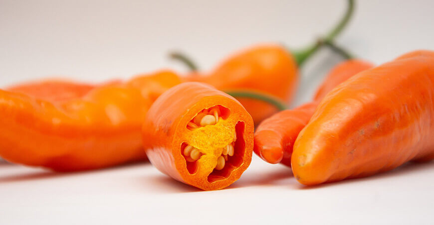 Perú Capsicum ají amarillo peruano