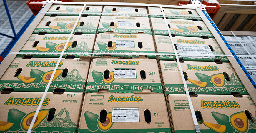 Perú agroexportaciones de paltas peruanas