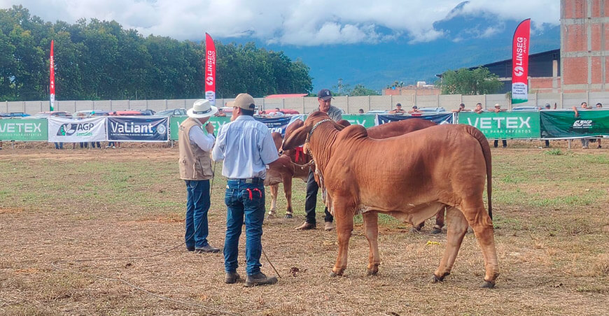 ExpoZebú Perú 