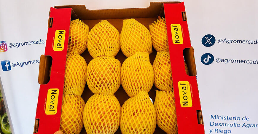Acuerdo comercial con agroexportadora garantiza compras quincenales de granadilla a productores de Puno