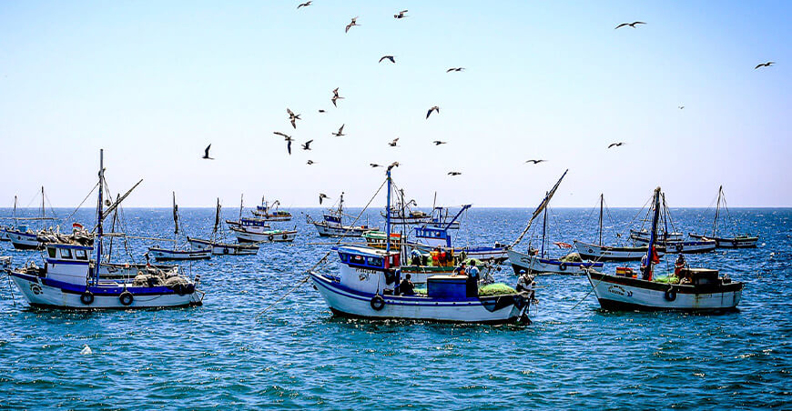 habilitaciones sanitarias a pescadores de Arequipa Perú Sanipes