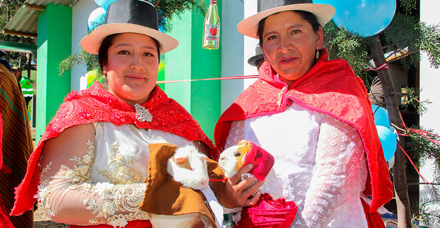 proyecto Cuy ejecutado por el Proyecto Especial Sierra Centro Sur en Los Morochucos Ayacucho Perú