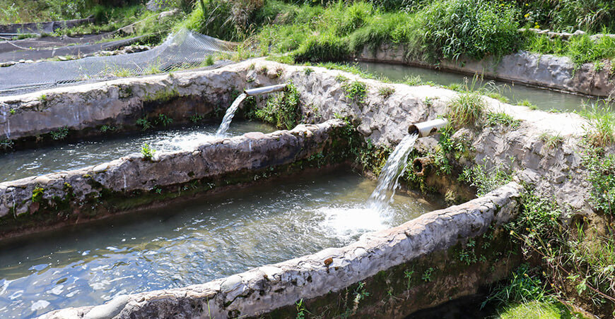 Mejorarán piscigranja de productores de trucha en Moya Huancavelica Perú
