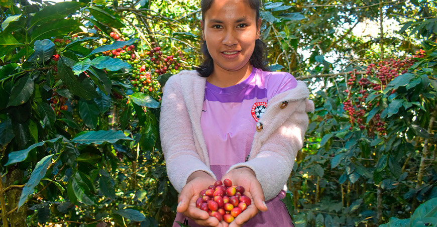 Cafetaleros de Inkawasi se capacitan en control biológico de plagas Cusco Perú
