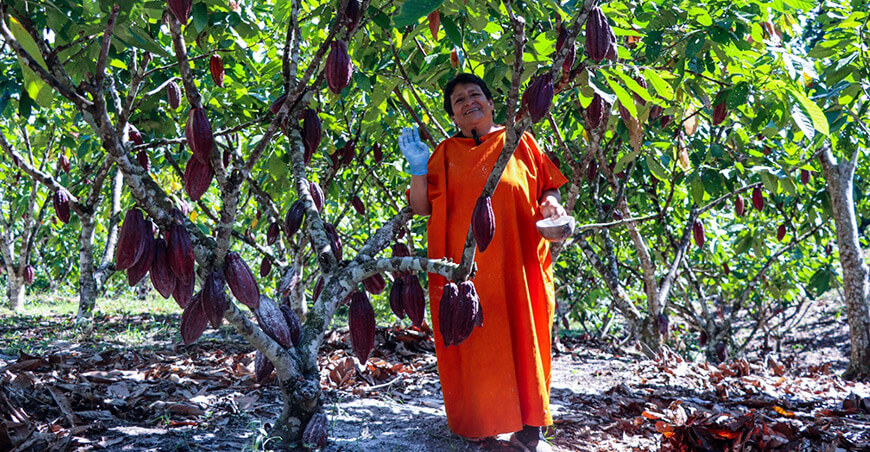 productora nativa de cacao Junín Perú