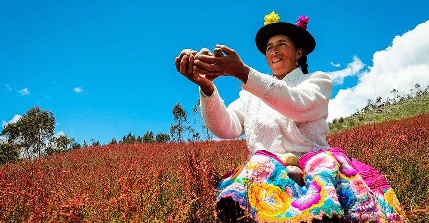 productora sierra Perú