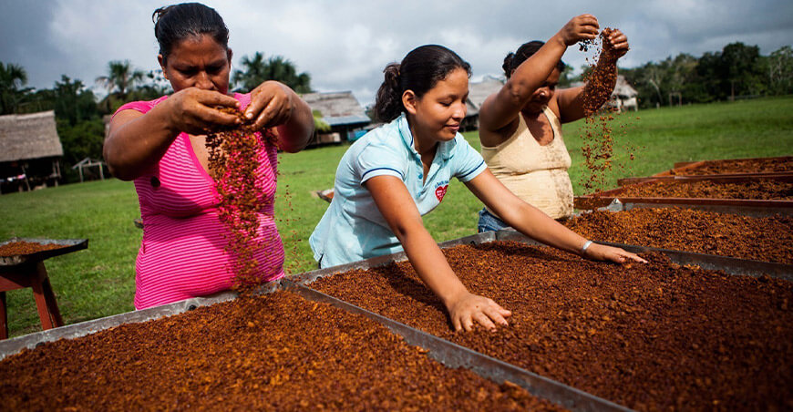 productoras agrarias Perú 