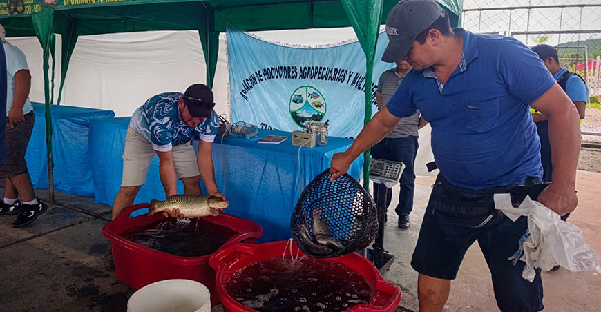 Capacitan a familias acuícolas para consolidar emprendimientos sostenibles Amazonas Devida Perú