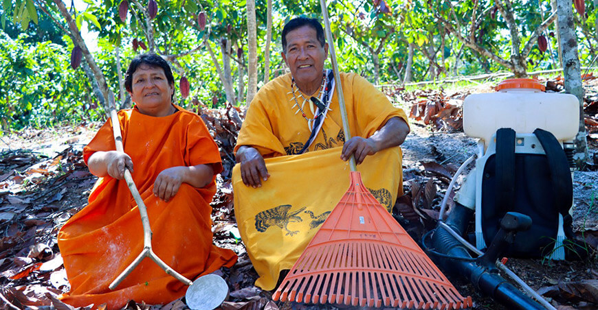 productores nativos cacao Junín Perú