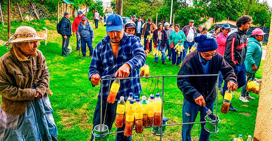 productores organizados en 99 Comités de Sanidad Agraria y de Mosca de la Fruta  Ayacucho Perú