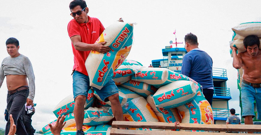 comercialización de arroz añejo del valle de Shanusi en Alto Amazonas Loreto Perú 