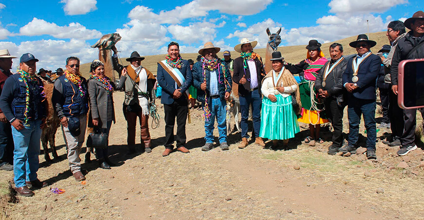 Puno impulsará el mejoramiento genético de llamas c