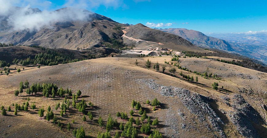 Reforestan nueve hectáreas en el sector Tres Cruces en Cajabamba Cajamarca Perú