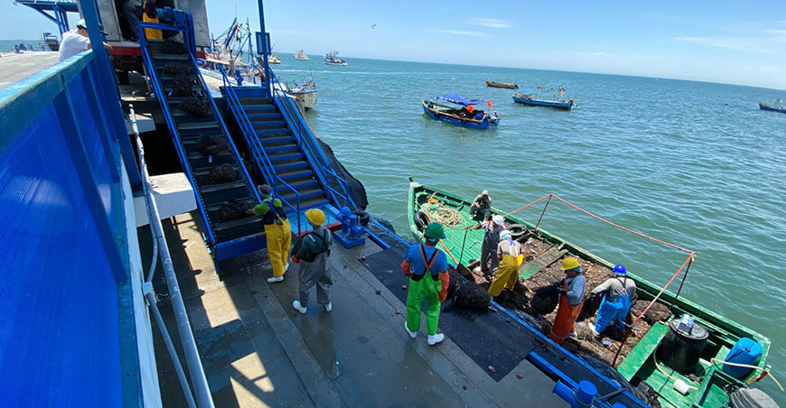 habilitaciones sanitarias a pescadores de Arequipa Perú Sanipes 