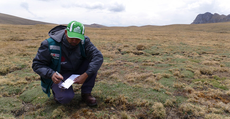 Serfor y PUCP impulsarán investigación e innovación en el sector forestal y de fauna silvestre Perú