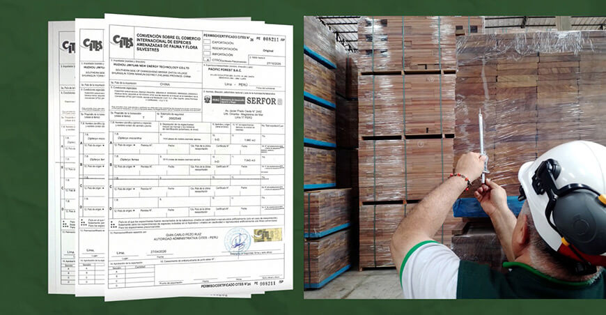 Serfor Perú impulsa la digitalización del sistema de permisos CITES para exportaciones de especies reguladas