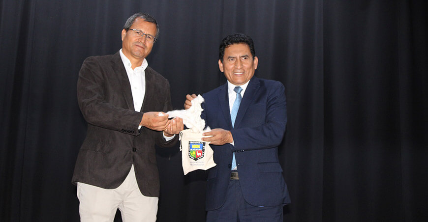 UNALM presenta nuevo algodón “Molinero extralargo” tras más de 15 años de investigación Perú 