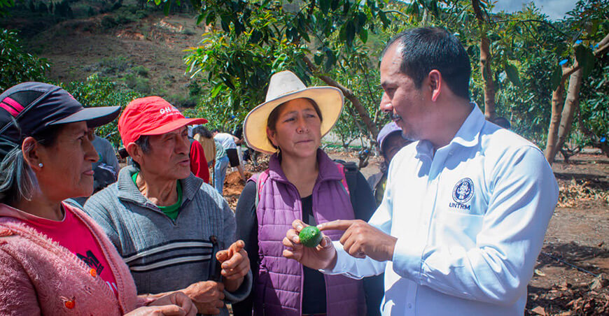 Productores de Magdalena amplían conocimientos sobre nutrición y manejo de cultivos Amazonas Perú UNTRM