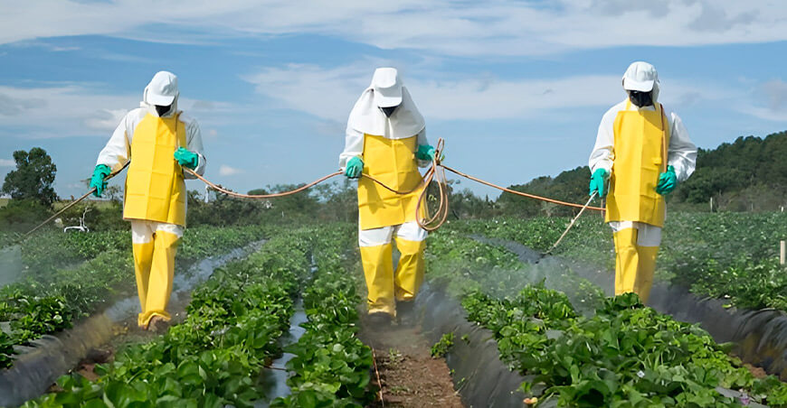 Cultivida advierte que plagas y enfermedades continúan poniendo en riesgo la producción agrícola nacional