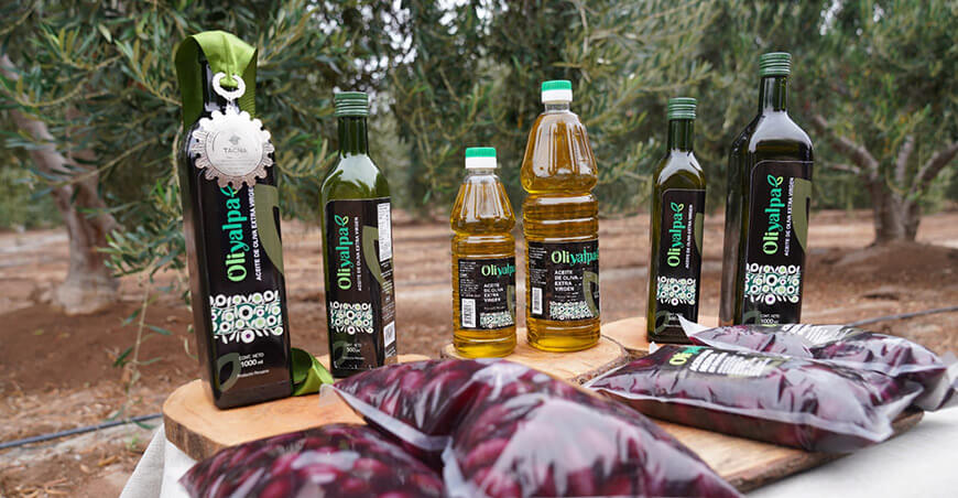 Cooperativa Agraria Yalpa Ltda ganó medallas internacionales con la calidad de su aceite de oliva extra virgen Tacna Perú