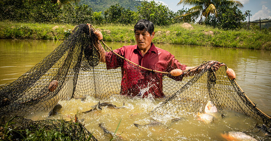 productores acuícolas obtienen acreditaciones hídricas para fortalecer su actividad productiva Junín Perú