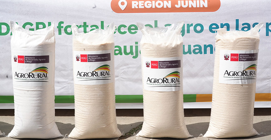familias productoras de Junín se benefician con fertilizantes y mejoramiento genético bovino Perú