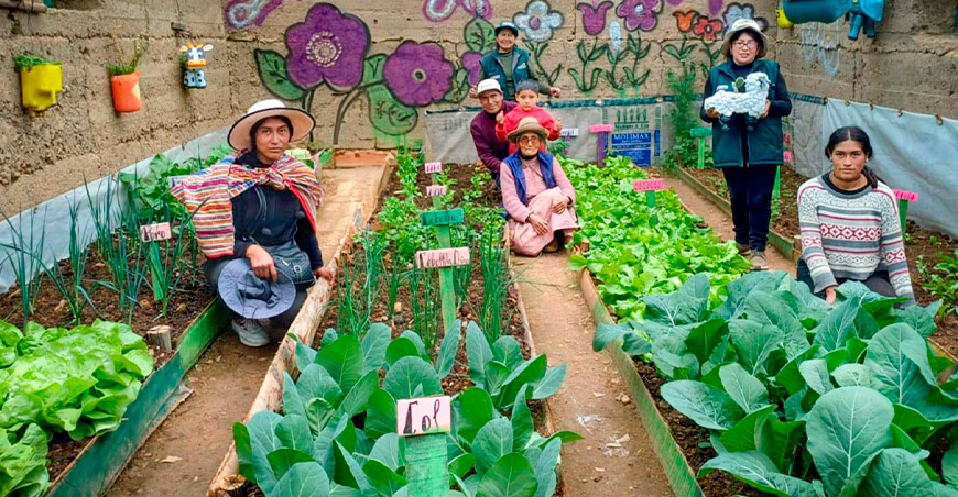 Agro Rural culminó entrega de kits para fortalecer cultivos frente a las heladas Perú