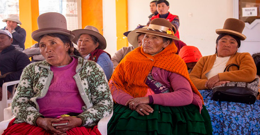 Productores alpaqueros consolidan la Cooperativa Agraria Palca Puno Perú