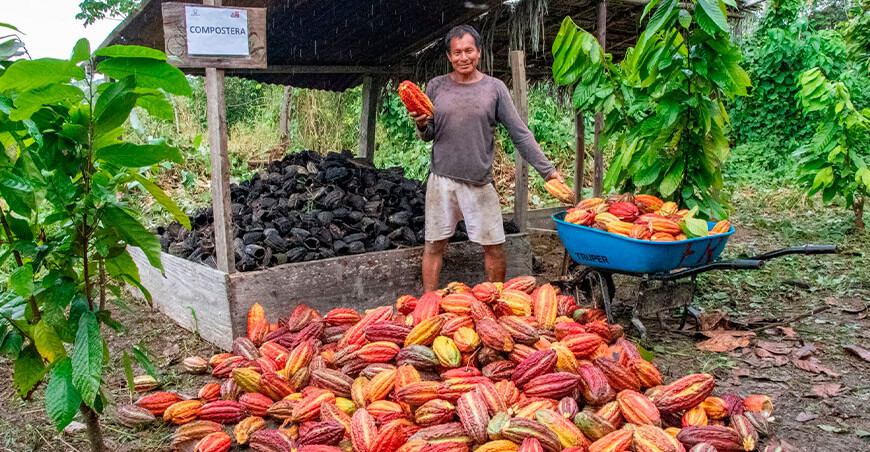 Minam impulsa bionegocios verdes en la Amazomía Perú productor cacao
