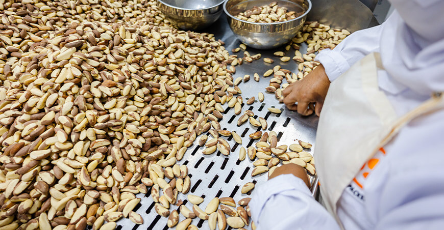 CITEproductivo Madre de Dios Instituto Tecnológico de la Producción (ITP) promueve el valor agregado de la castaña Perú