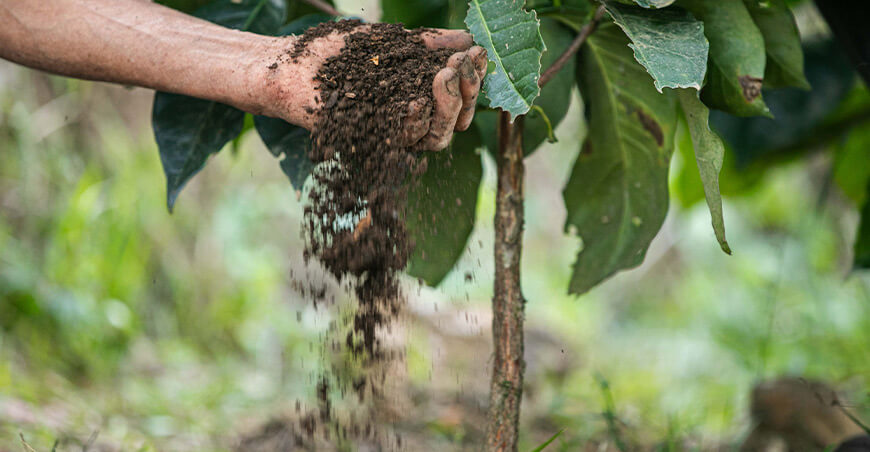 Cafetaleros del Vraem producirán compost con pulpa de café con asistencia de Devida Perú